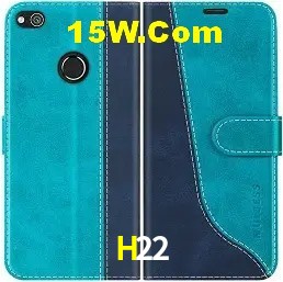 Promoção Relâmpago H22